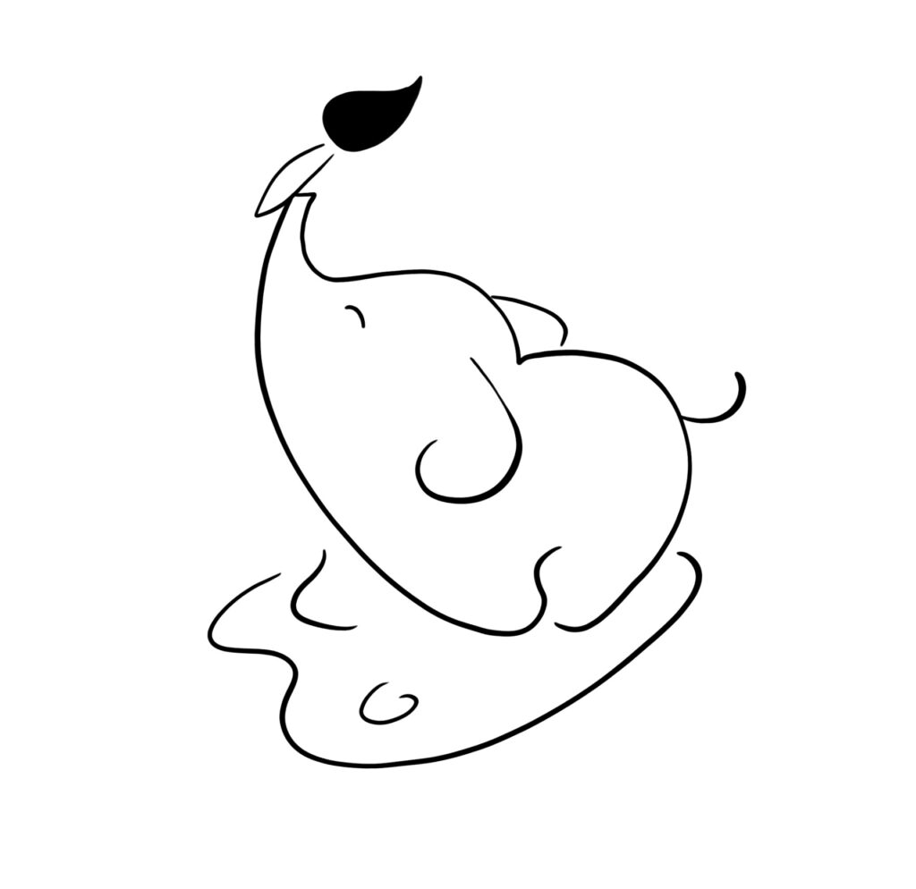 Gif Voucher